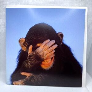 Tim Davis Embarrassed Chimpanzee Greeting Card xposure/Icon Art UK